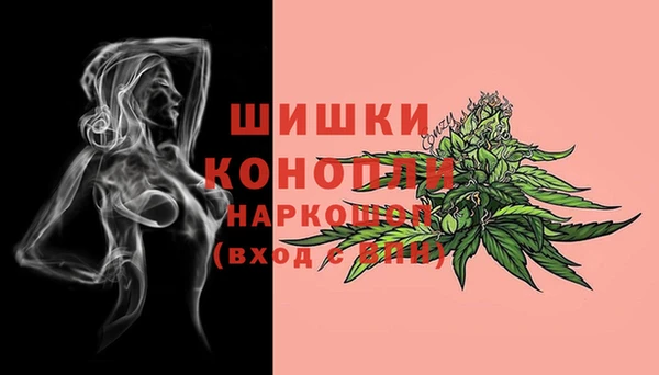 винт Алзамай