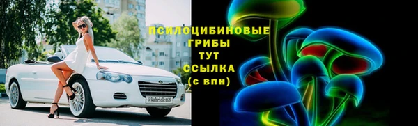 дживик Алексин