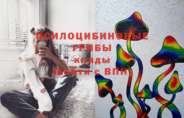 дживик Алексин