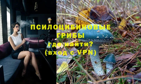винт Алзамай