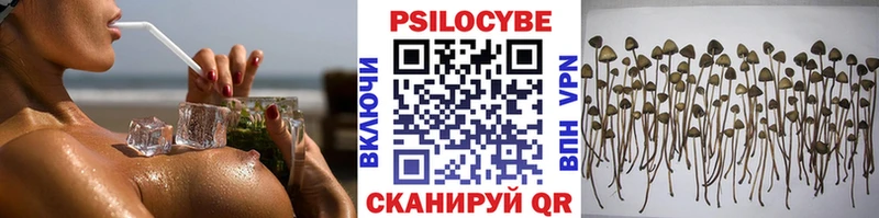 Галлюциногенные грибы прущие грибы  Ветлуга 