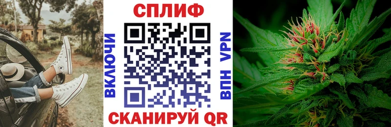магазин  наркотиков  Ветлуга  omg онион  Бошки Шишки Amnesia 